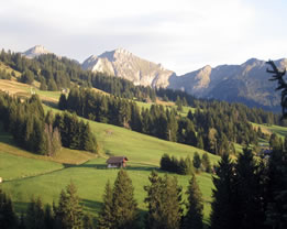 Summer View from the Chalet